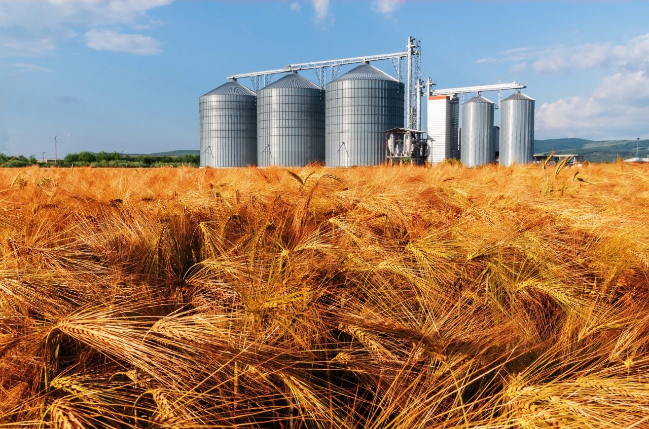 grain silo for food production field of wheat 